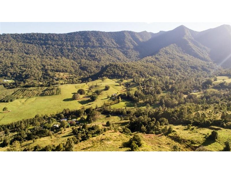 372 Limpinwood Valley Road, Limpinwood NSW 2484