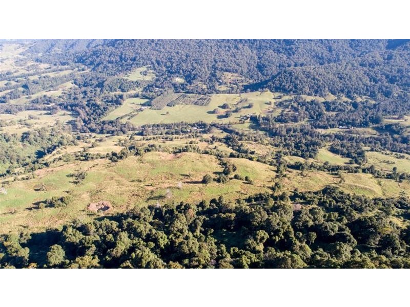 372 Limpinwood Valley Road, Limpinwood NSW 2484