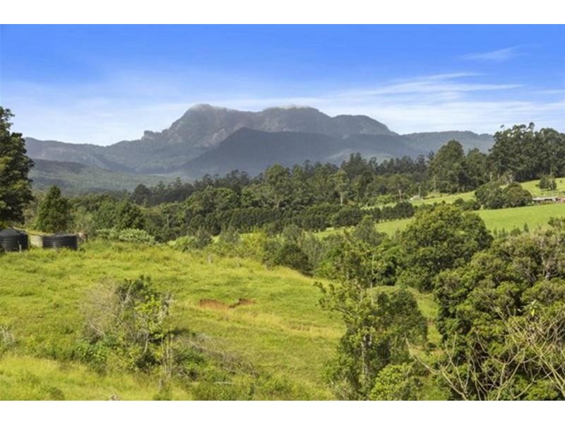 372 Limpinwood Valley Road, Limpinwood NSW 2484