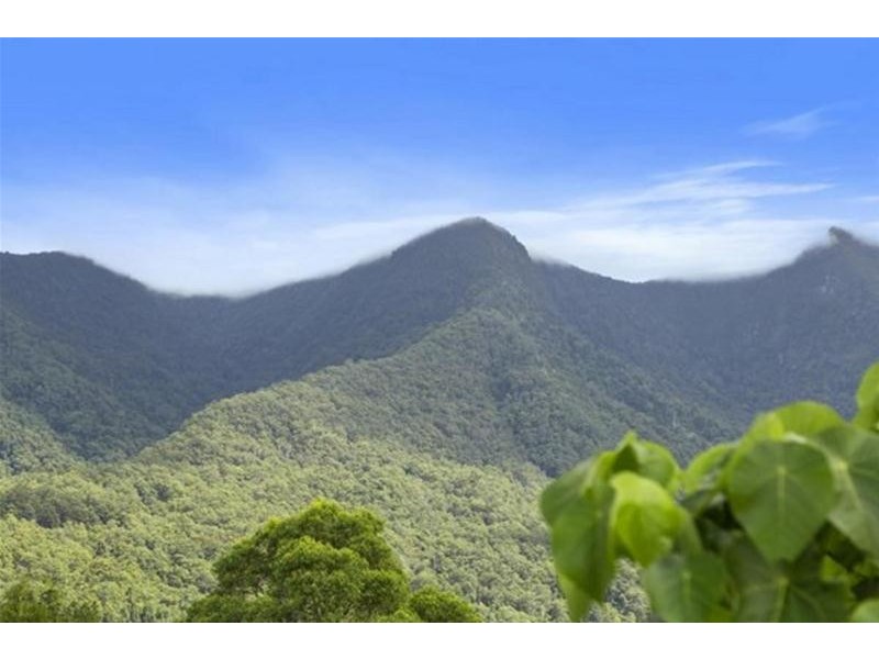 372 Limpinwood Valley Road, Limpinwood NSW 2484