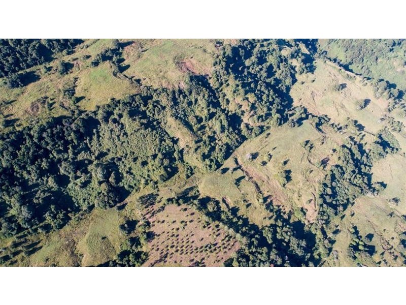 372 Limpinwood Valley Road, Limpinwood NSW 2484