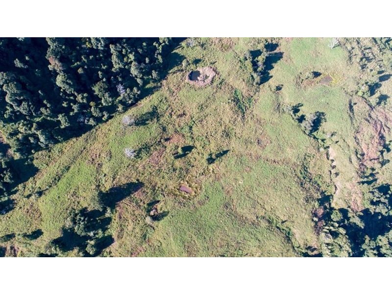 372 Limpinwood Valley Road, Limpinwood NSW 2484