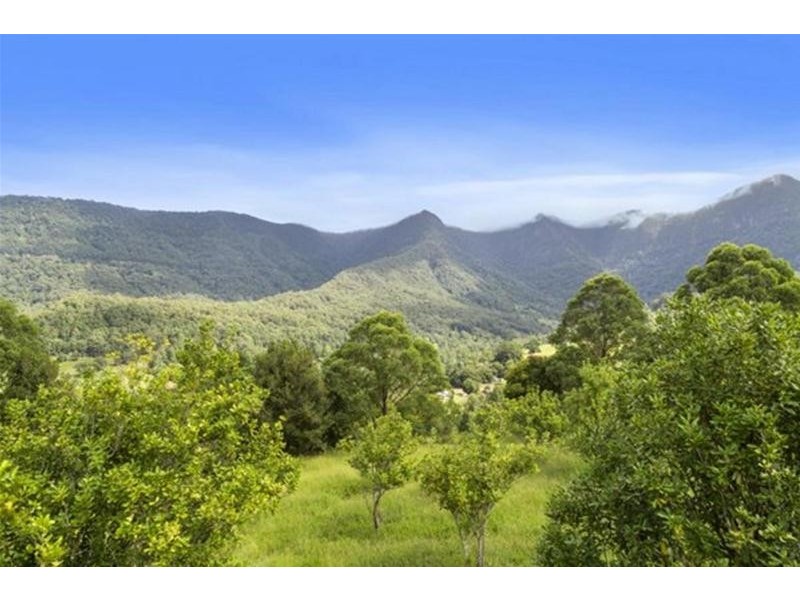 372 Limpinwood Valley Road, Limpinwood NSW 2484