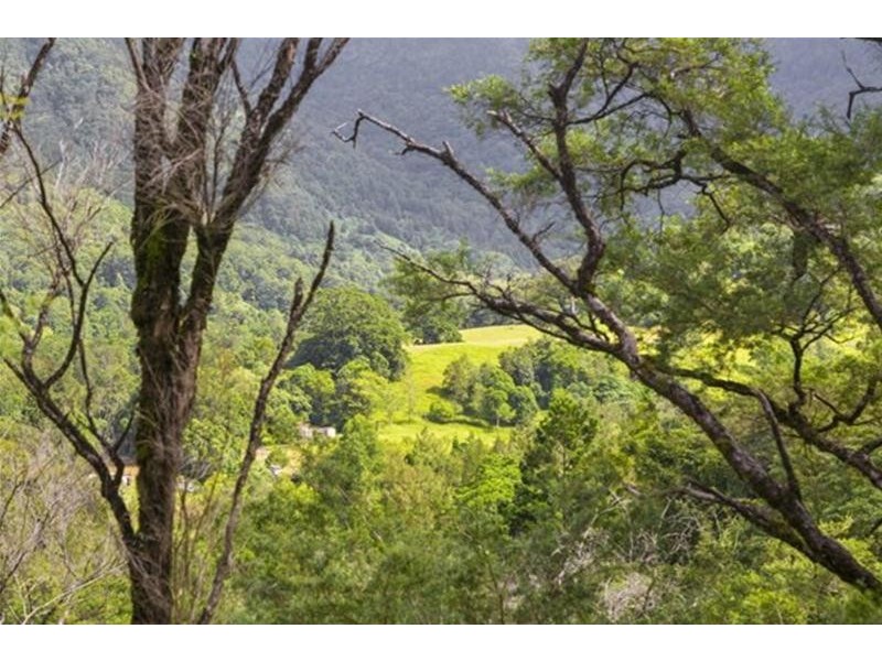 372 Limpinwood Valley Road, Limpinwood NSW 2484