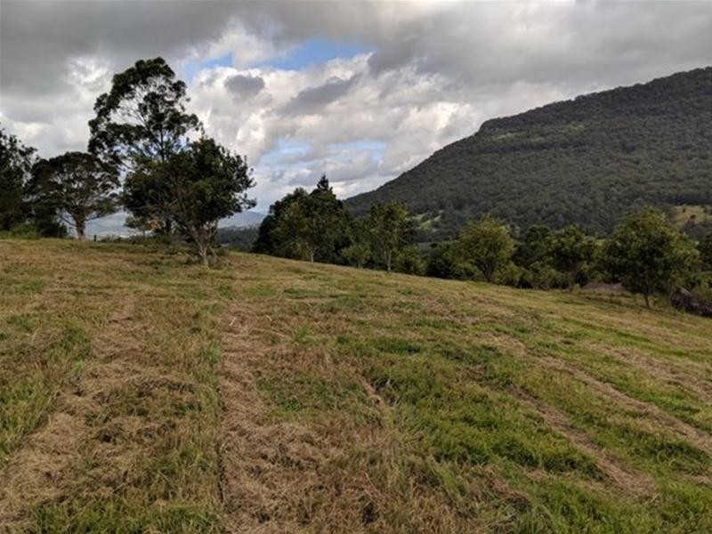 372 Limpinwood Valley Road, Limpinwood NSW 2484