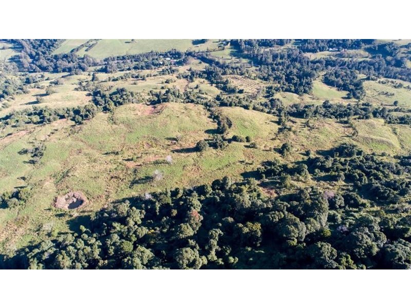 372 Limpinwood Valley Road, Limpinwood NSW 2484