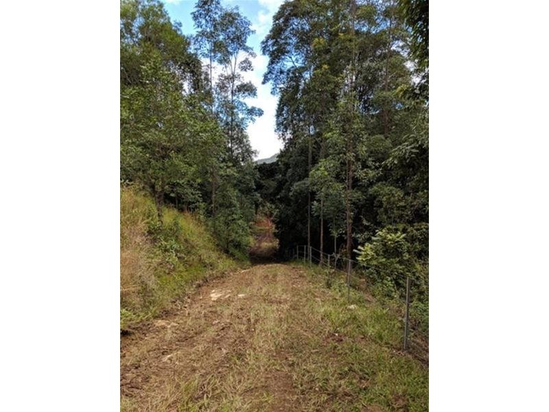 372 Limpinwood Valley Road, Limpinwood NSW 2484