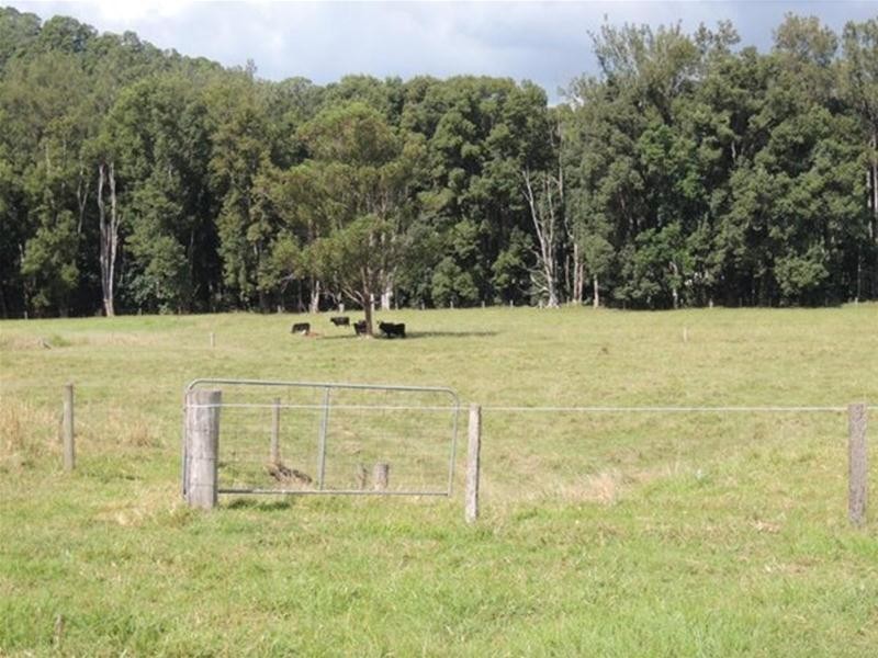 80 Upper Crystal Creek Road, Upper Crystal Creek NSW 2484