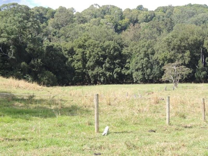 80 Upper Crystal Creek Road, Upper Crystal Creek NSW 2484