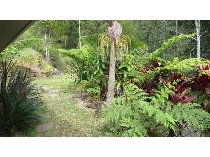 Lot 6 Hazelbrook Road, Uki NSW 2484