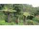 Lot 6 Hazelbrook Road, Uki NSW 2484