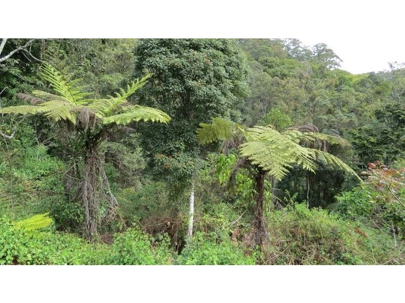 Lot 6 Hazelbrook Road, Uki NSW 2484