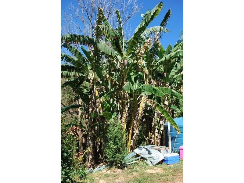 Lot 6 Hazelbrook Road, Uki NSW 2484