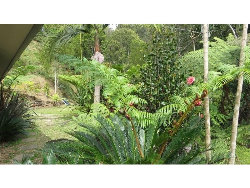 Lot 6 Hazelbrook Road, Uki NSW 2484
