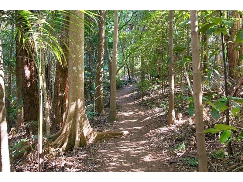 29 Garden of Eden Road, Tomewin NSW 2484