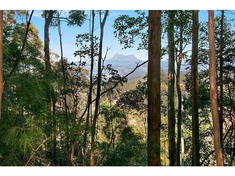 29 Garden of Eden Road, Tomewin NSW 2484