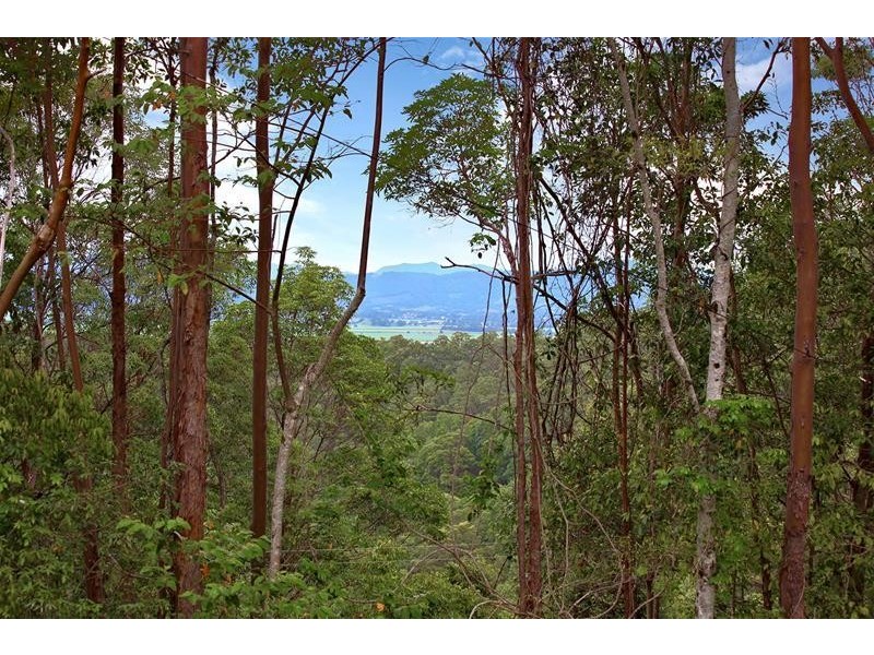 20 Cranneys Road, North Tumbulgum NSW 2490