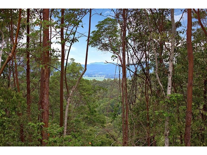 20 Cranneys Road, North Tumbulgum NSW 2490