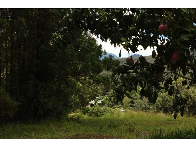 1355 Tyalgum Road, Tyalgum NSW 2484