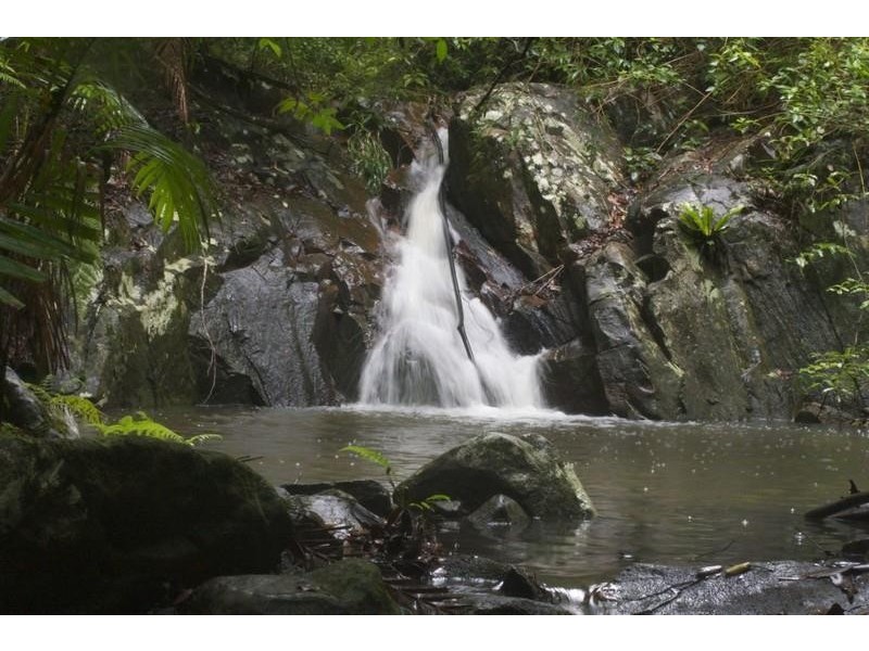 1355 Tyalgum Road, Tyalgum NSW 2484