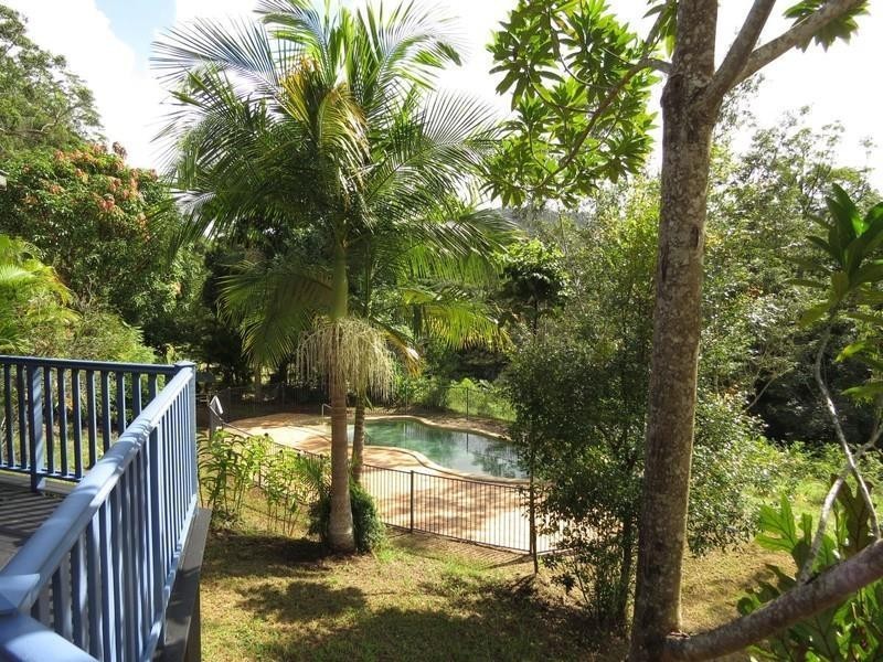 1355 Tyalgum Road, Tyalgum NSW 2484