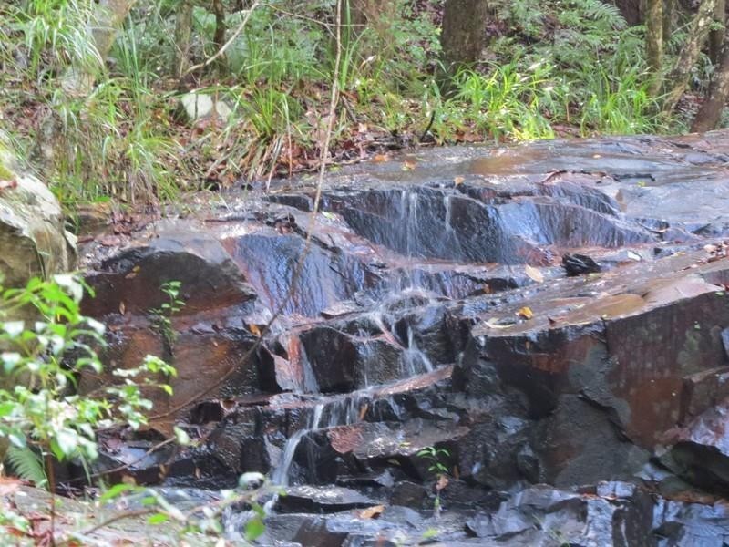 1355 Tyalgum Road, Tyalgum NSW 2484