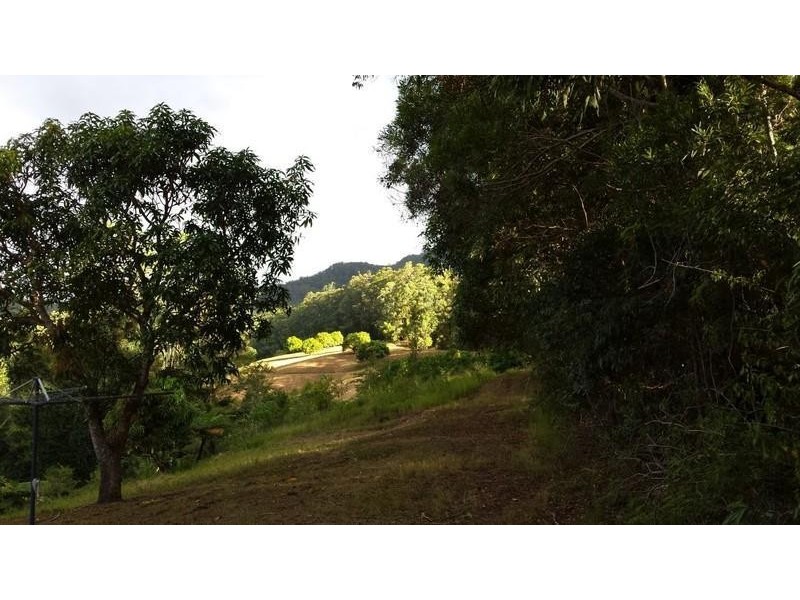 1355 Tyalgum Road, Tyalgum NSW 2484