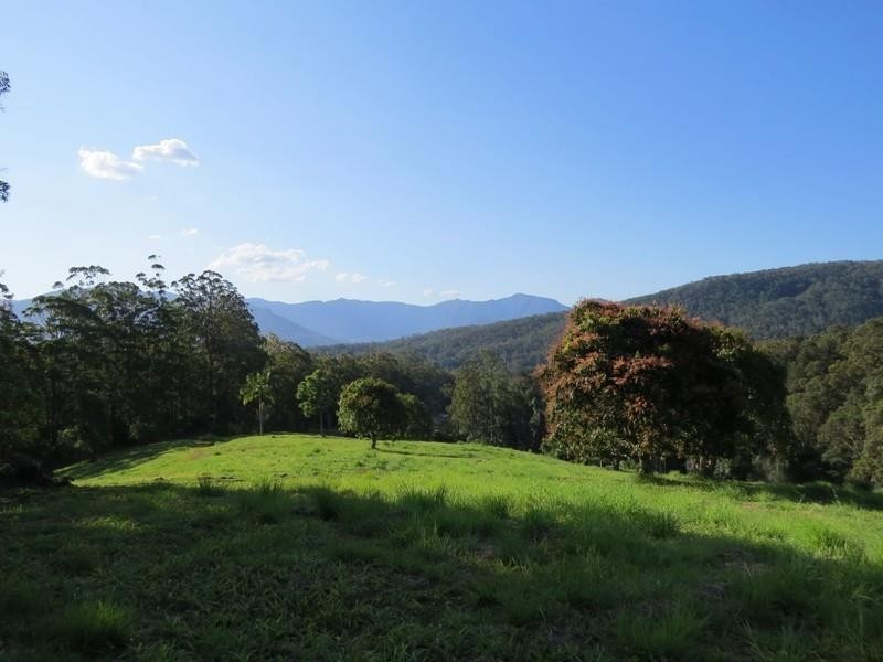 1355 Tyalgum Road, Tyalgum NSW 2484