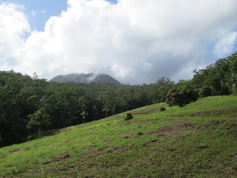 1355 Tyalgum Road, Tyalgum NSW 2484