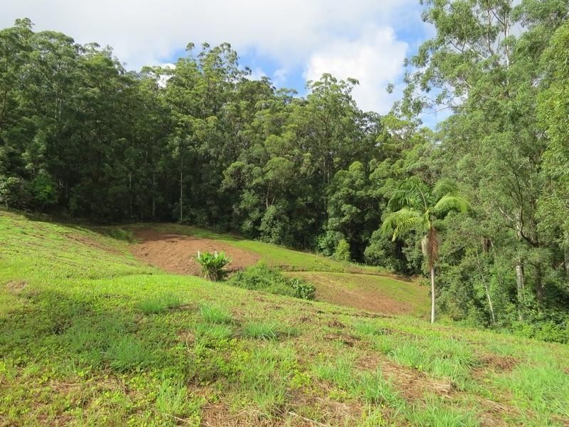 1355 Tyalgum Road, Tyalgum NSW 2484