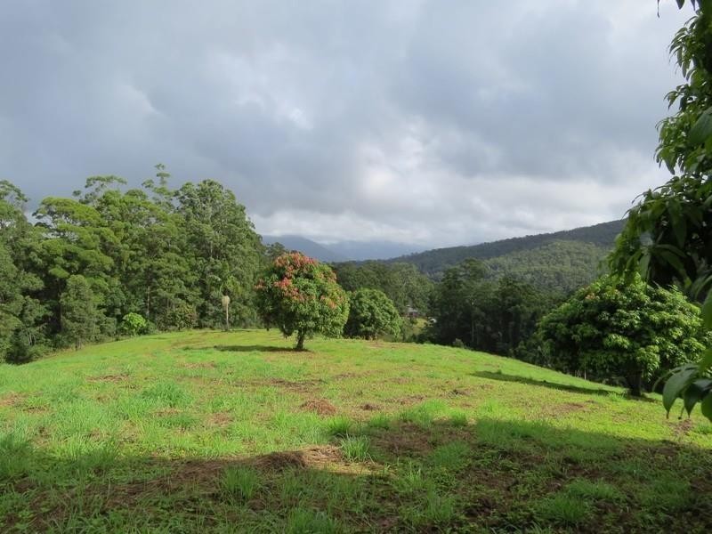 1355 Tyalgum Road, Tyalgum NSW 2484