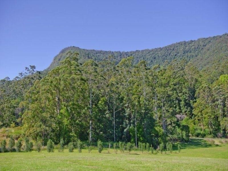 9B Noble Road, Blue Knob NSW 2480