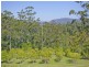 9B Noble Road, Blue Knob NSW 2480