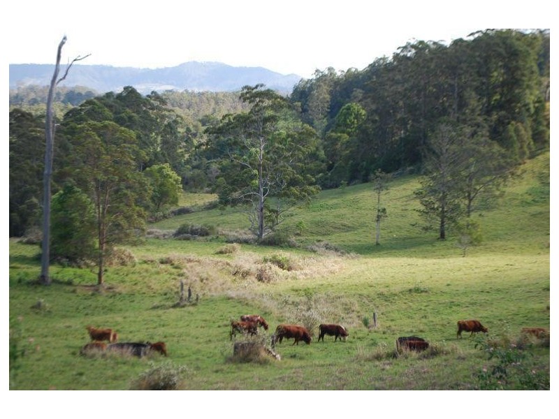 Lillian Rock NSW 2480