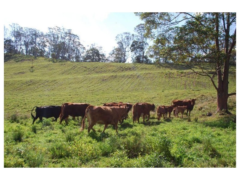 Lillian Rock NSW 2480