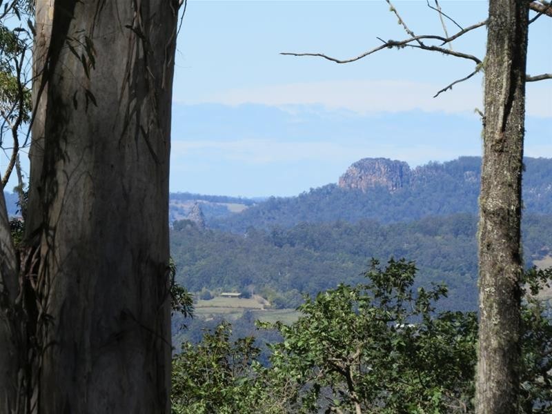 Lillian Rock NSW 2480