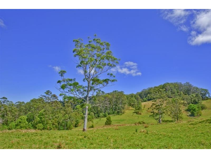 Lillian Rock NSW 2480