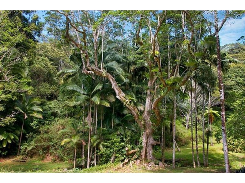 312 Dungay Creek Road, Dungay NSW 2484