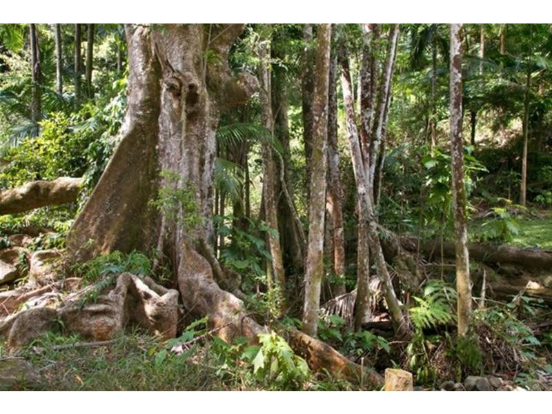 312 Dungay Creek Road, Dungay NSW 2484