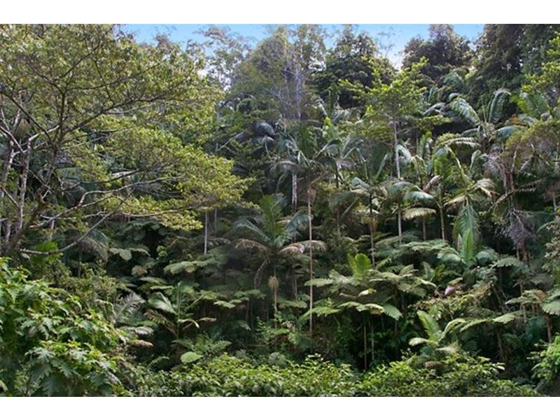 312 Dungay Creek Road, Dungay NSW 2484