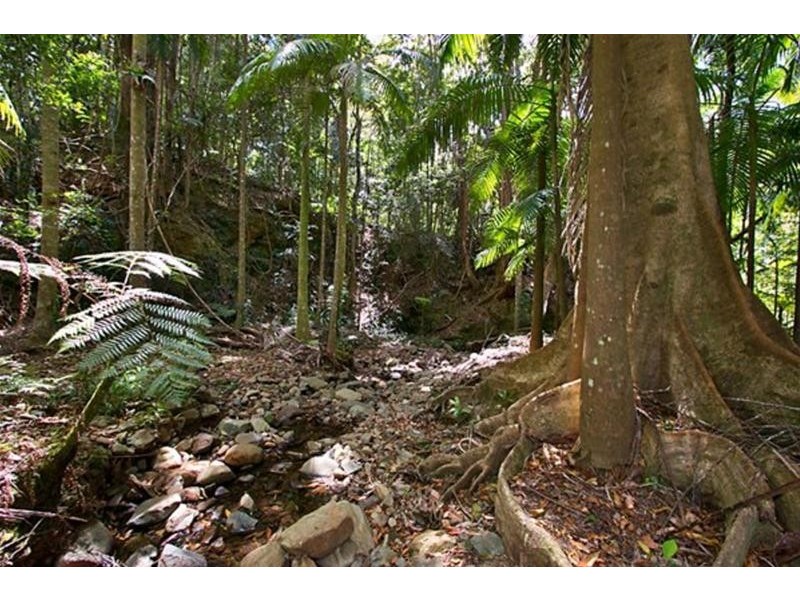 312 Dungay Creek Road, Dungay NSW 2484