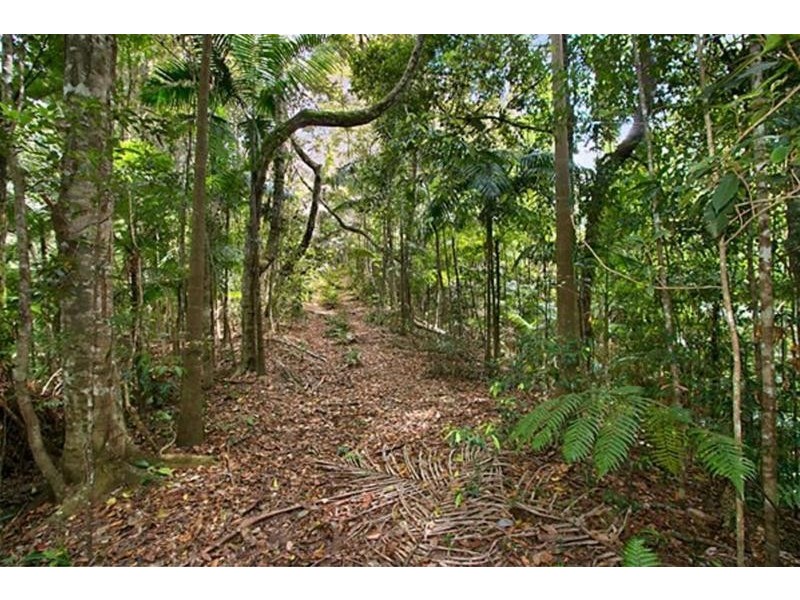 312 Dungay Creek Road, Dungay NSW 2484