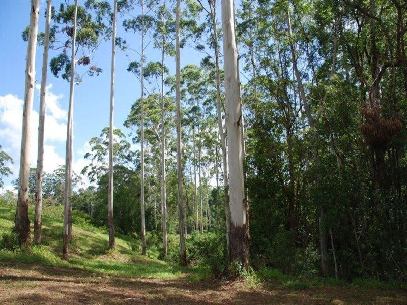 Lillian Rock NSW 2480