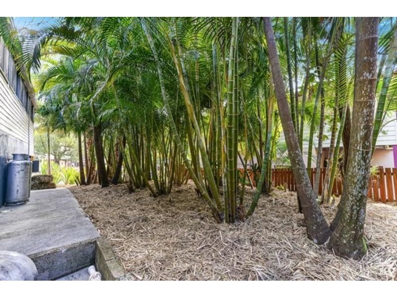 1453 kyogle road Uki, Uki NSW 2484