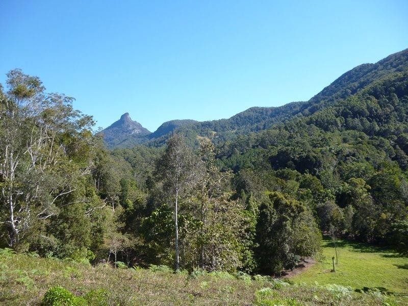111 Mount Warning Road, Mount Warning NSW 2484