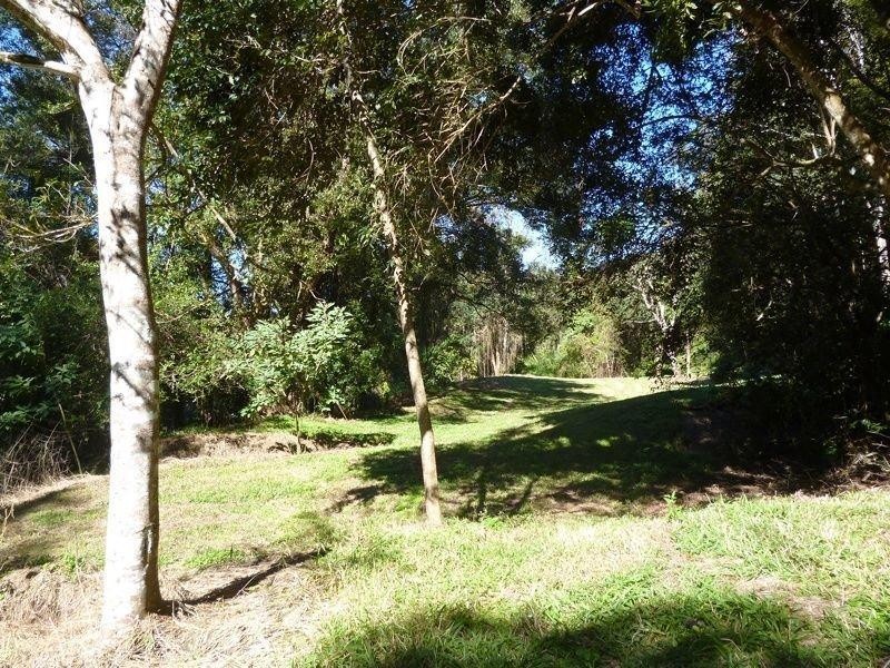 111 Mount Warning Road, Mount Warning NSW 2484