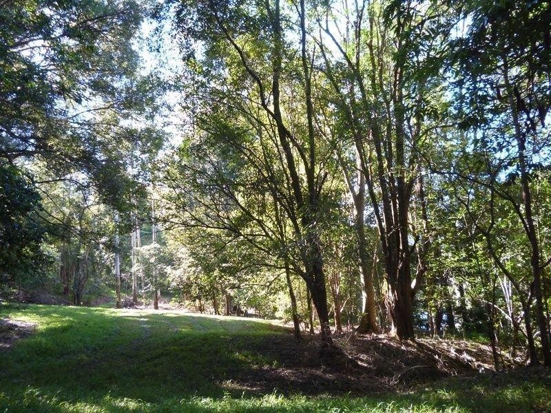 111 Mount Warning Road, Mount Warning NSW 2484