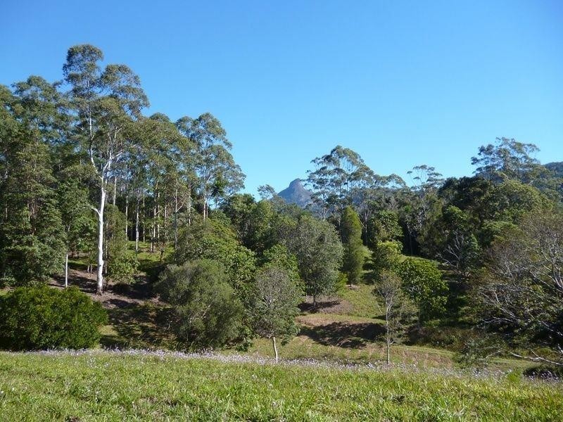 111 Mount Warning Road, Mount Warning NSW 2484