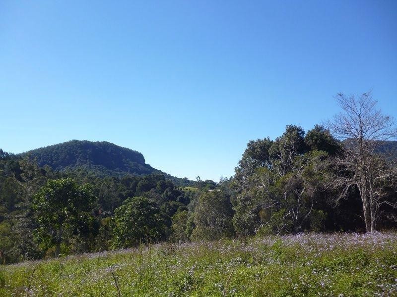 111 Mount Warning Road, Mount Warning NSW 2484