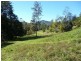 111 Mount Warning Road, Mount Warning NSW 2484